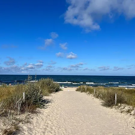 Daire Oberdeck, Columba Sellin (Rugen)